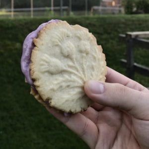 Ice Cream Cookie Sandwiches