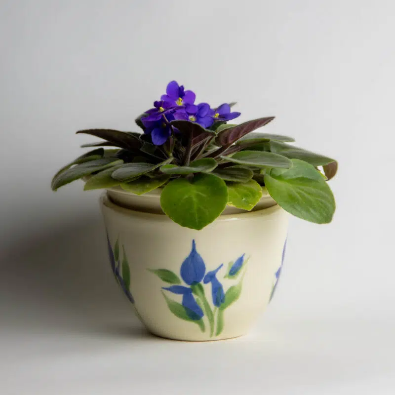 African Violet Pots | Emerson Creek Pottery