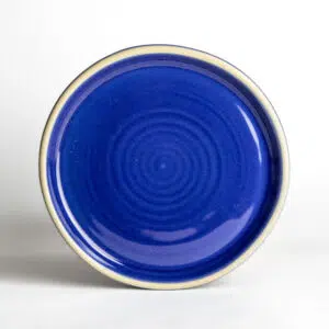 Brookline Salad Plates: American Blue