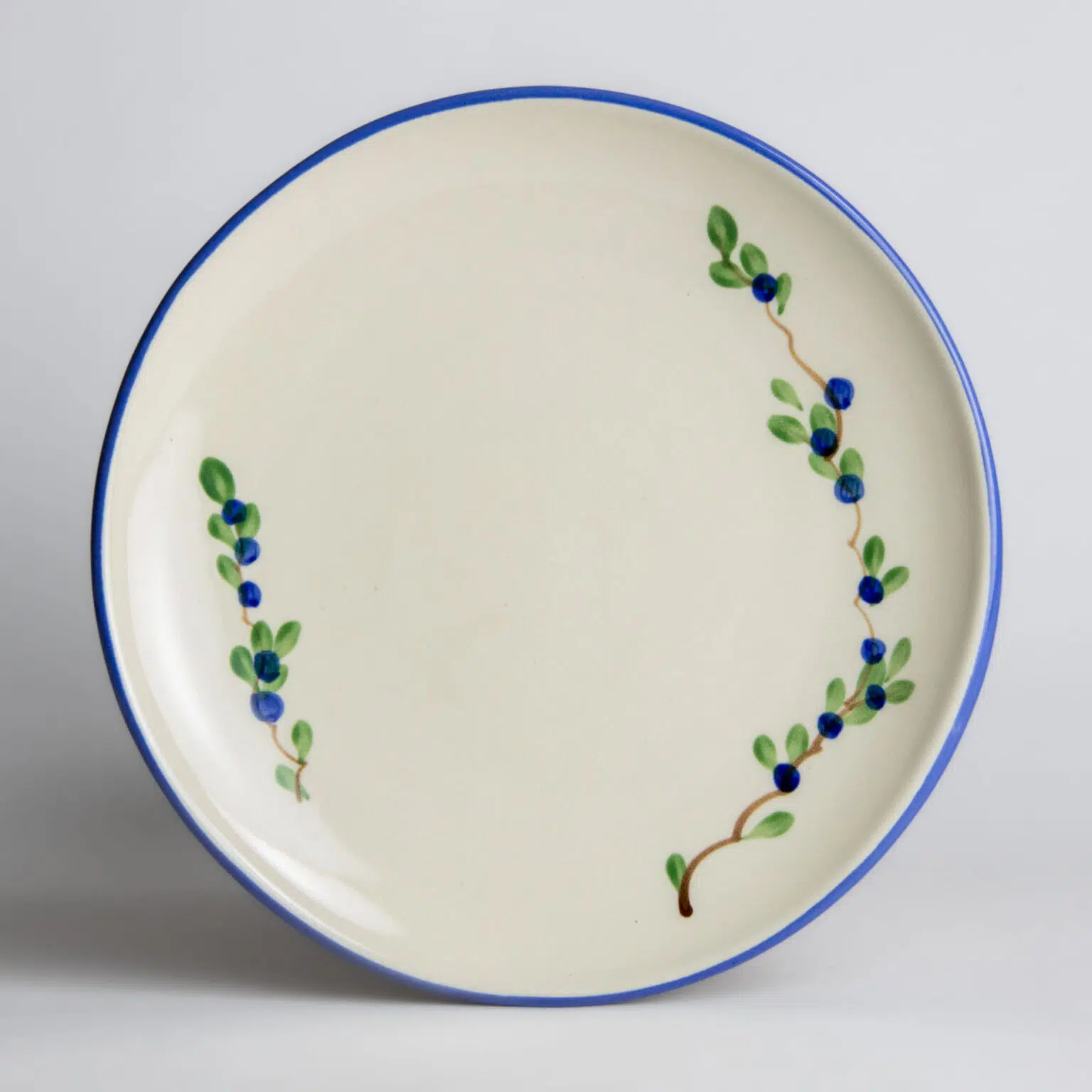 Coupe Dinner Plates Emerson Creek Pottery