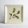 Cranberry Square Appetizer Plate