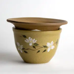 African Violet Pots: Dogwood