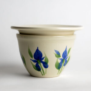 African Violet Pots: Field of Iris