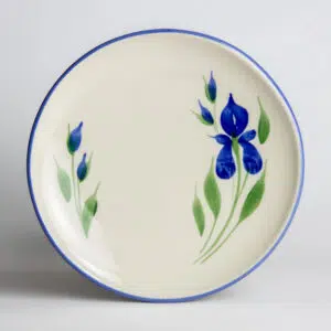 Coupe Dinner Plates: Field of Iris