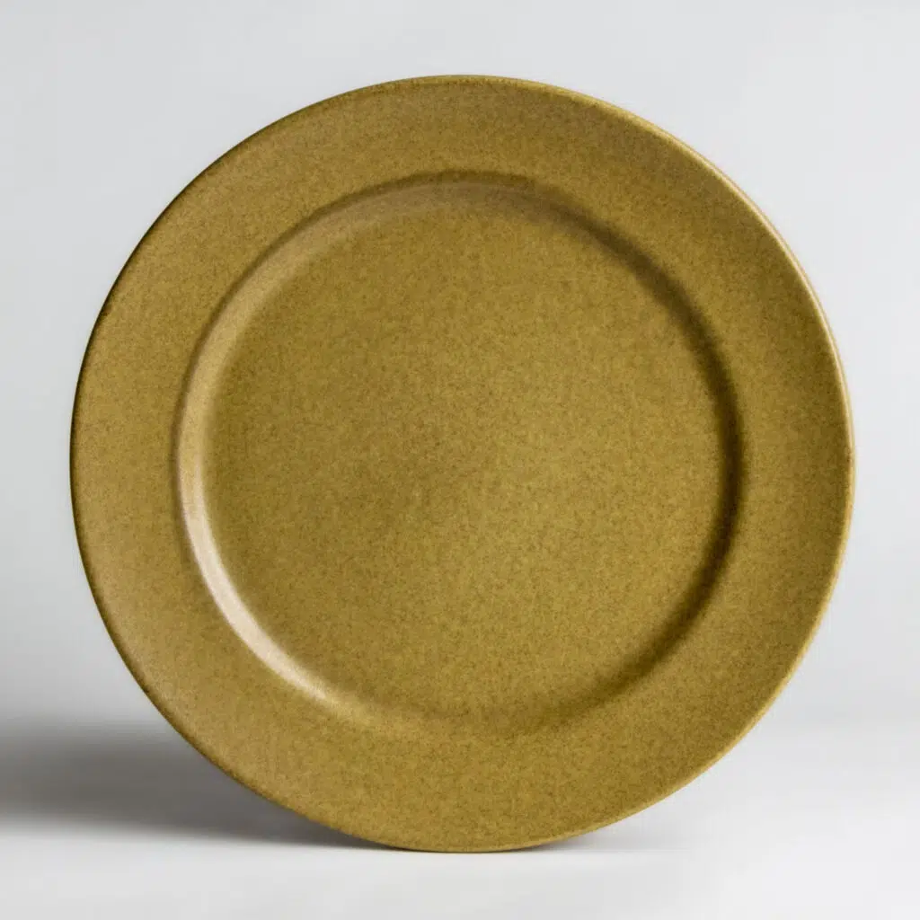 Go Green Earthware Classic Dinner Plate