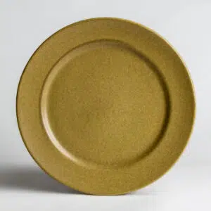 Classic Dinner Plates: Go Green Earthware