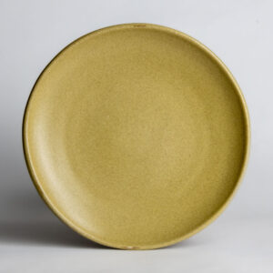 Coupe Dinner Plates: Go Green Earthware