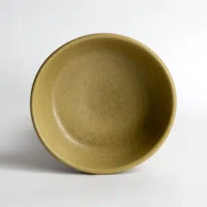 Coupe Soup Bowls: Go Green Earthware