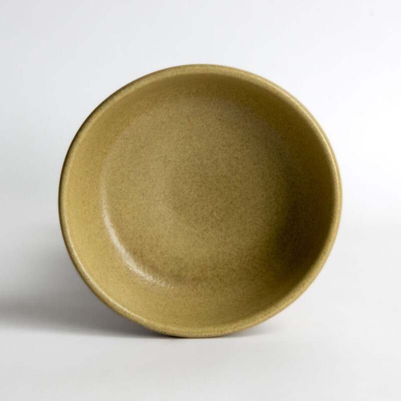 Go Green Earthware Coupe Soup Bowl
