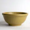 Go Green Earthware Pasta Bowl