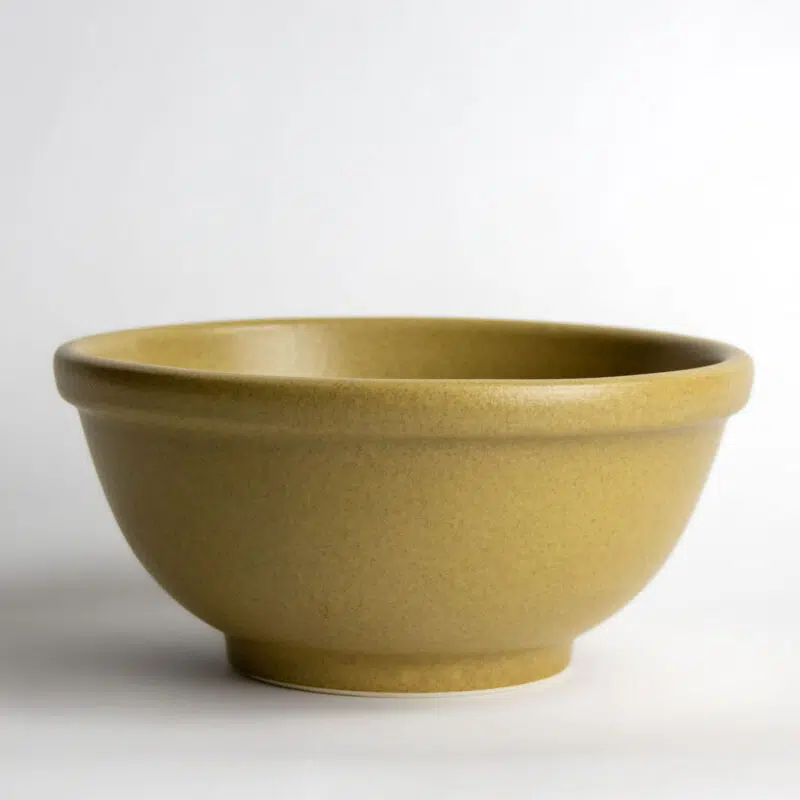Go Green Earthware Pasta Bowl