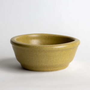 Ramekins: Go Green Earthware