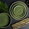 Moss Brookline Dinnerware Set with natural bark and ferns.