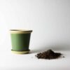 Moss Flower Pot Dirt