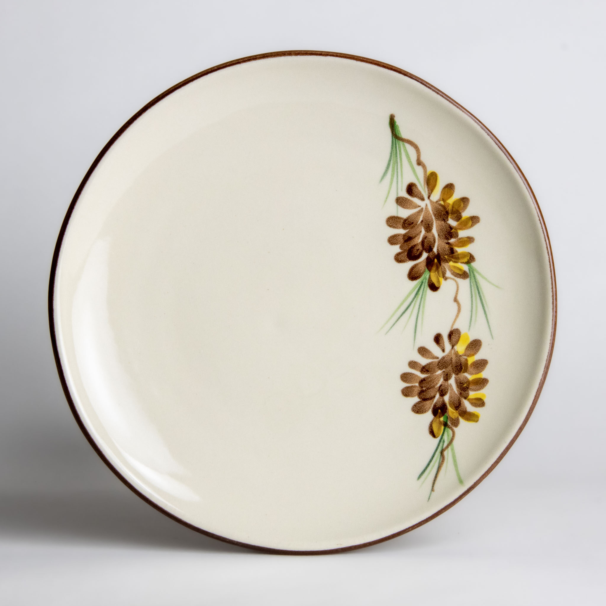 Coupe Dinner Plates Emerson Creek Pottery