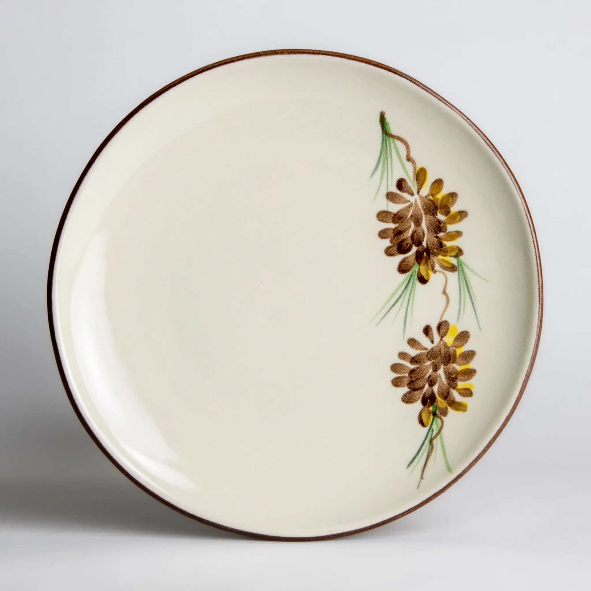 Coupe Dinner Plates Emerson Creek Pottery