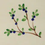 Blueberry