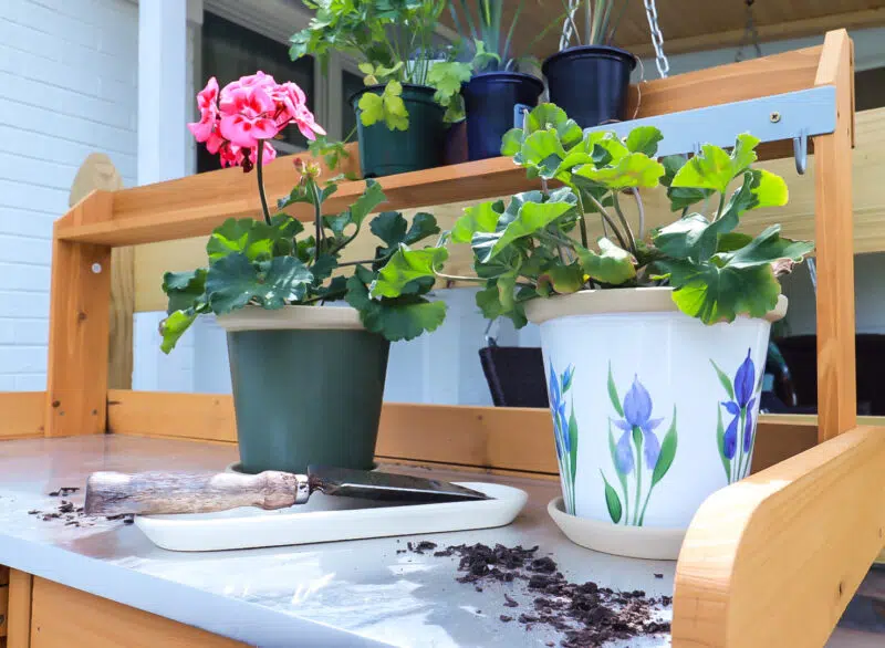 Ceramic Plant Pots | Hand-Painted Flower Pots