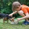 Large Classic Pet Bowls