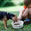 Small Classic Pet Bowls