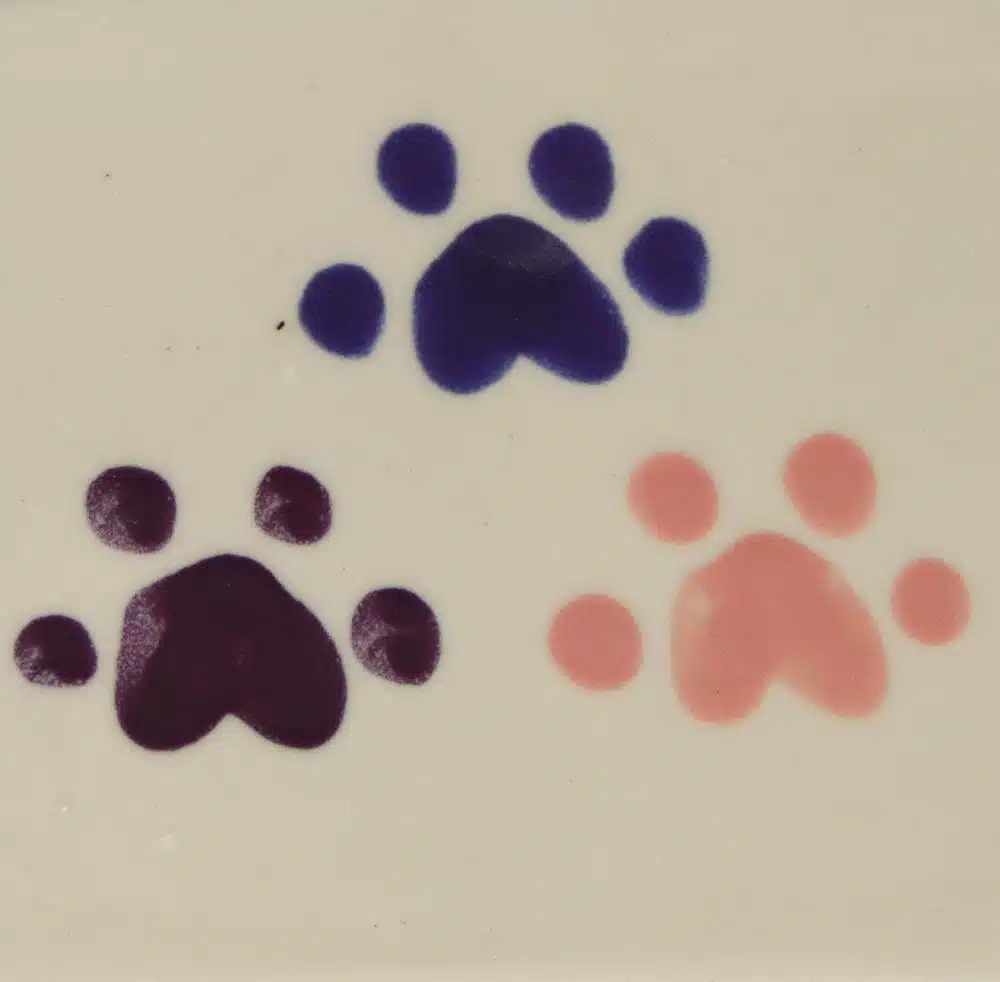 Pink Walking Paws