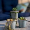 Ceramic planters with small succulents