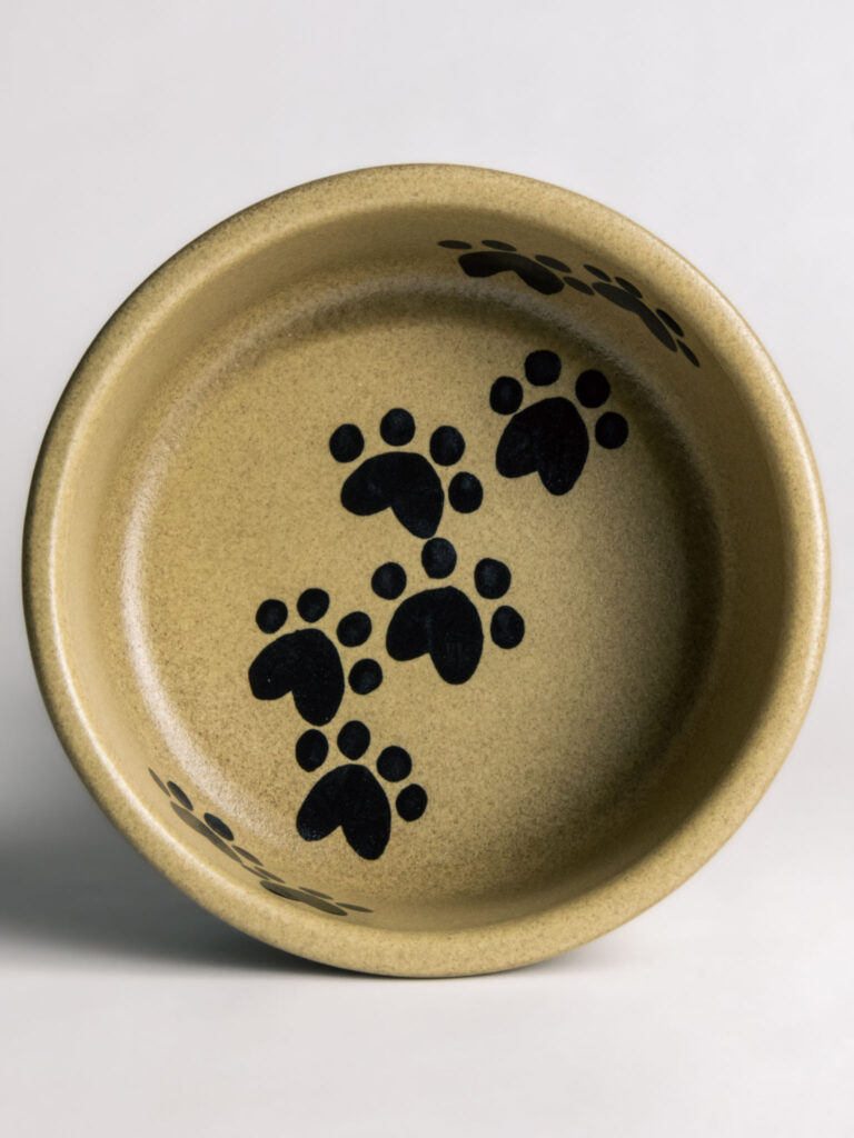 Walking Paws Pet Bowl