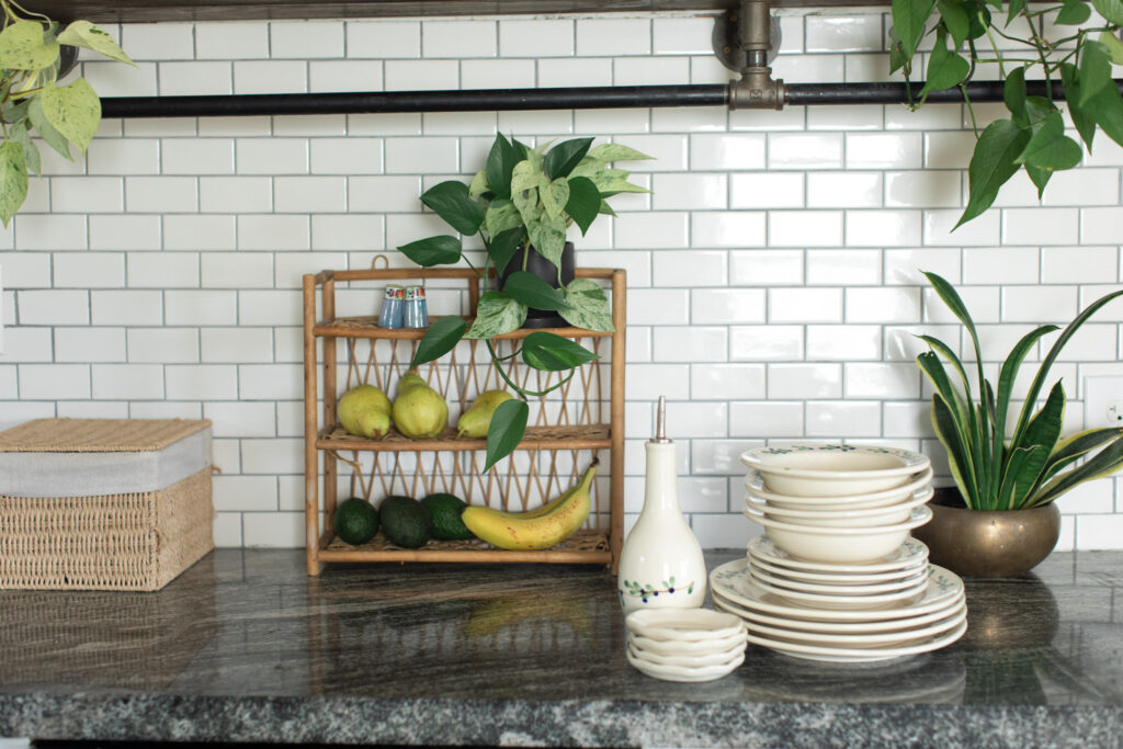 Blueberry Classic Dinnerware, coasters and drizzle bottle with fruit and house plants.