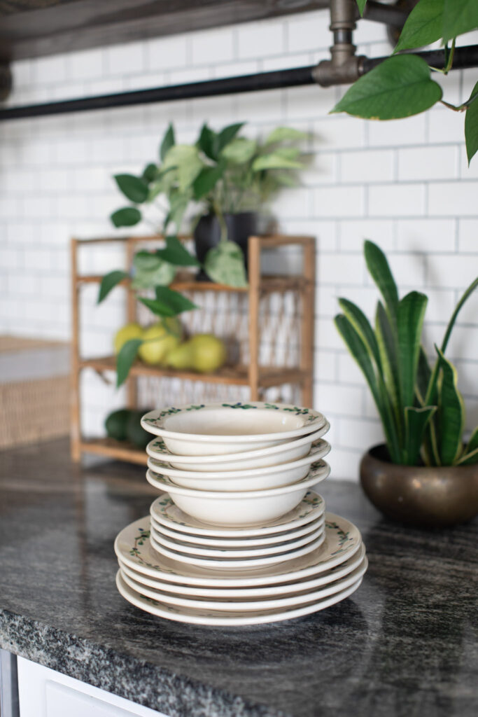 2026 Handmade Pottery Spring Gift Guide 9 Blueberry Classic Dinnerware with fruit and house plants.
