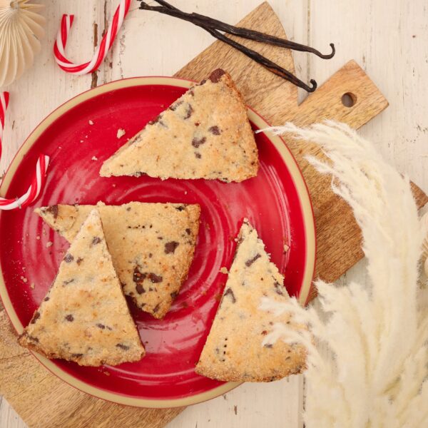 IMG 9724 2 e1766002609701