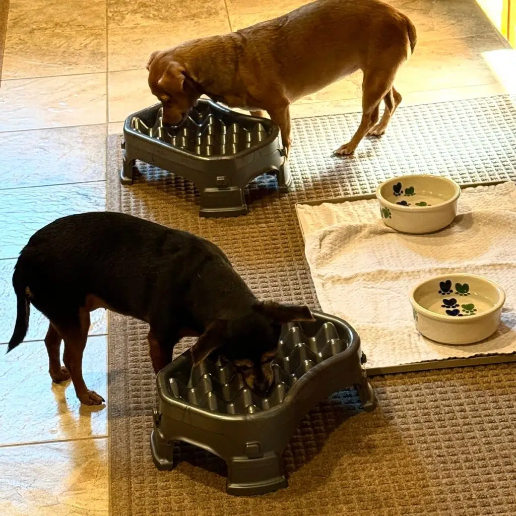 Image #1 from Richard