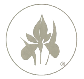 image removebg preview